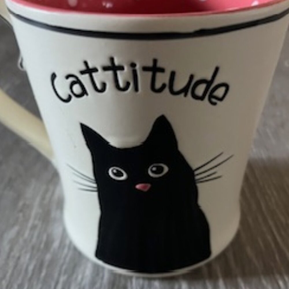 🧡3/15 New Spectrum Designz Cattitude 17oz Mug Cup